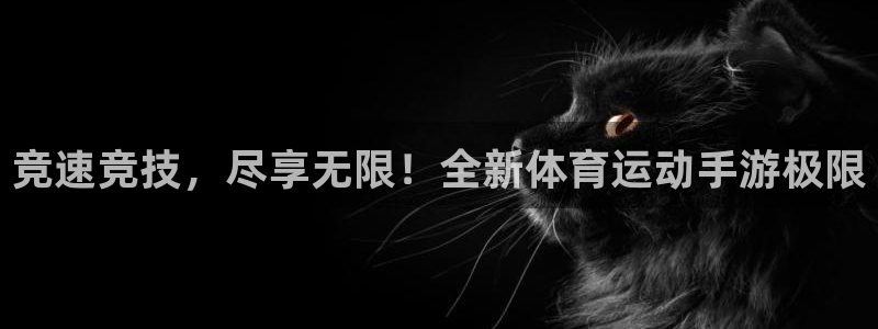 xc体育