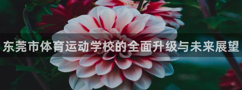 xc体育app官方网站