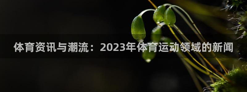 xc体育