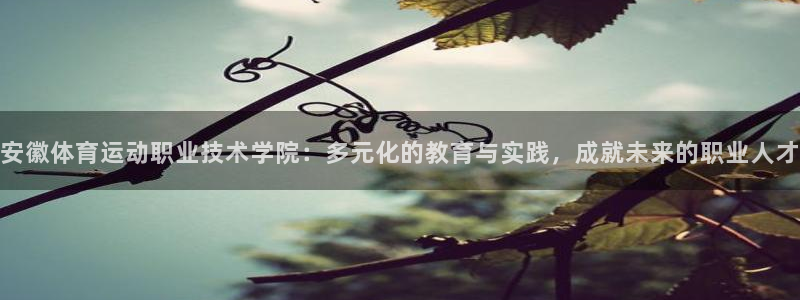 xc体育